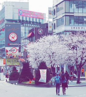 韩国留学|首尔是唯一的选择吗，釜山大邱又有哪些吸引我们去留学呢？