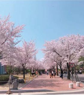 2020高考志愿填报指导_大学志愿选专业指导_高中生学业规划