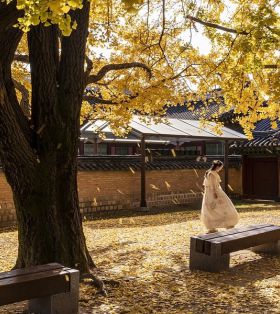 【造型艺术系】韩国檀国大学艺体研究生院艺术专业留学详细介绍