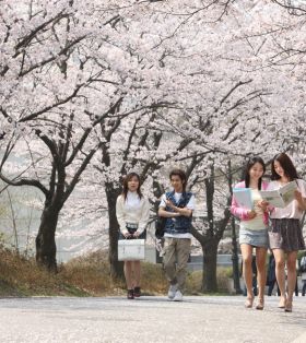 【韩国话剧专业】韩国檀国大学公演电影学院话剧专业（演技、导演）留学详细介绍