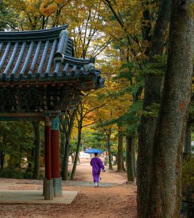 历史学专业-韩国启明大学以物质文化为中心研究过去社会与文化的学问