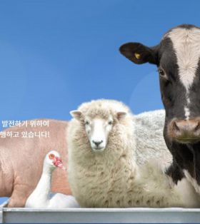 畜产学专业-庆北大学畜牧专业动物资源和培育可持续环保动物产业