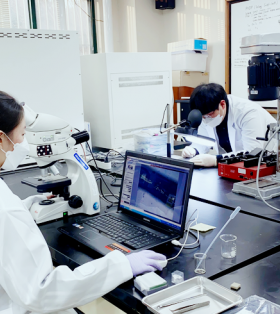 韩国纺织纤维系统工程系-庆北大学尖端知识产业正成长为新的融合技术产业