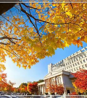 韩国英语语言文学-庆熙大学文学学院对英语理论学科实用学问探索