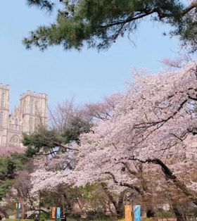 【韩国雕塑】韩国庆熙大学本科美术学院雕塑专业留学详细介绍