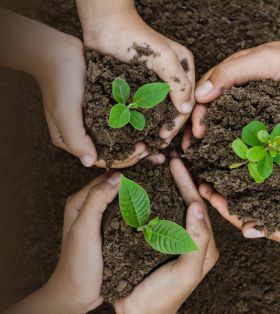 庆北大学-植物生命科学专业同时具备粮食和生命科学的基础知识