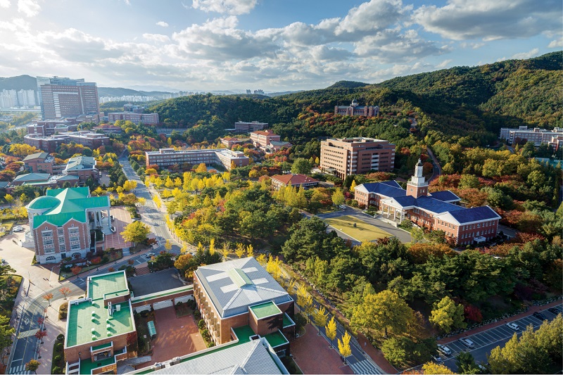 1764141988.jpg 800常用.jpg